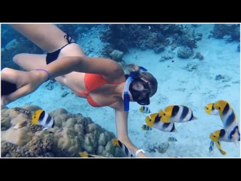Miniatura del video del producto
