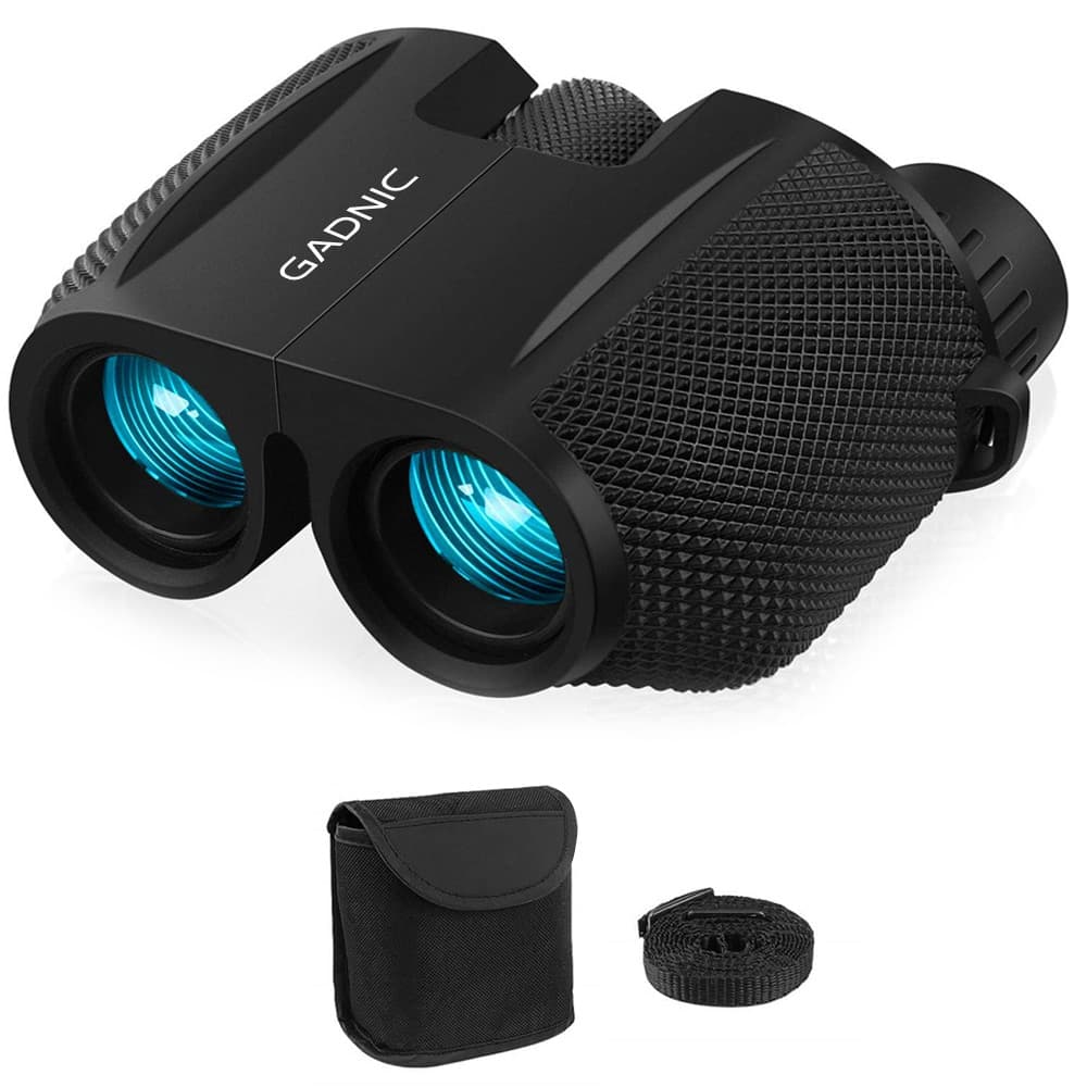 Binoculares Prismáticos Gadnic Larga Vista 10x25  Funda