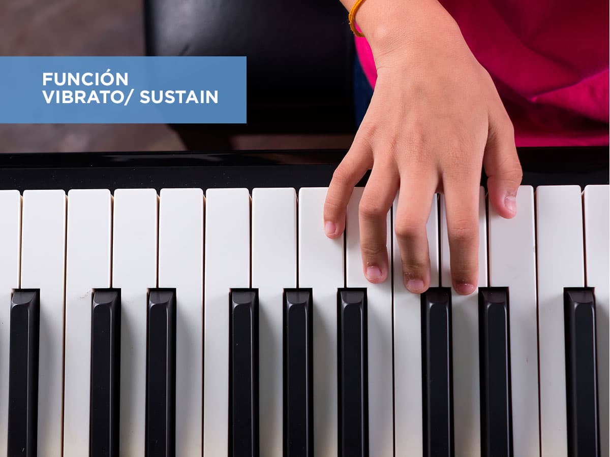 Imagen 7 del producto