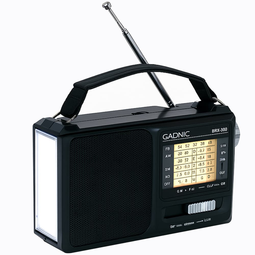 Radio Portatil BT GADNIC Inalámbrica AMFM Recargable Con Luz Usado