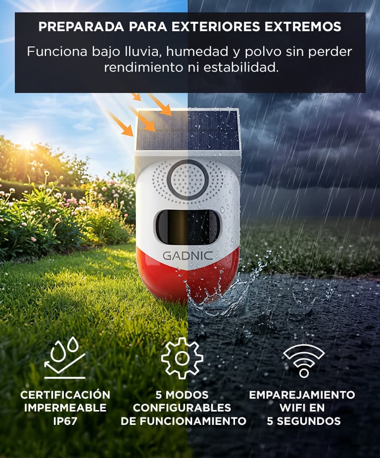 Imagen 5 del producto