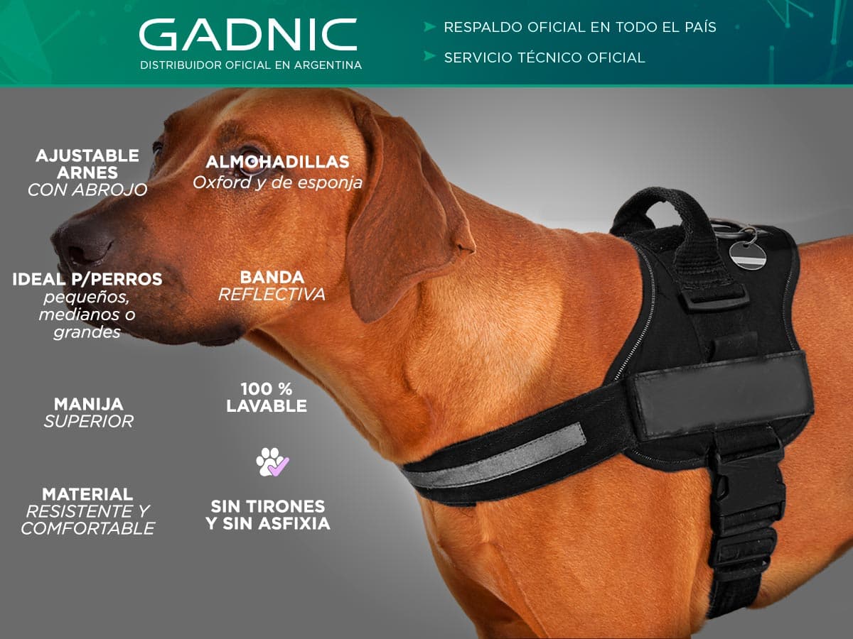 Imagen 3 del producto