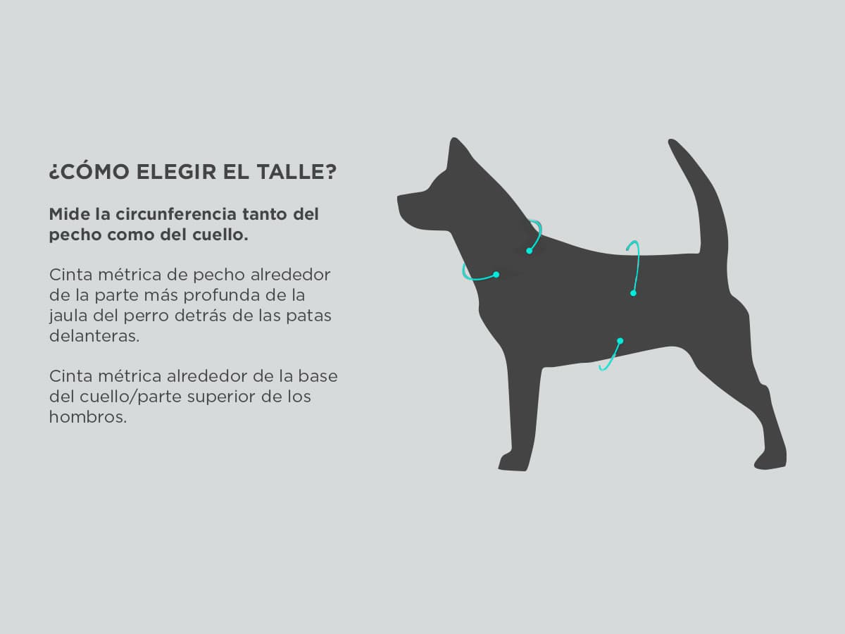 Imagen 6 del producto
