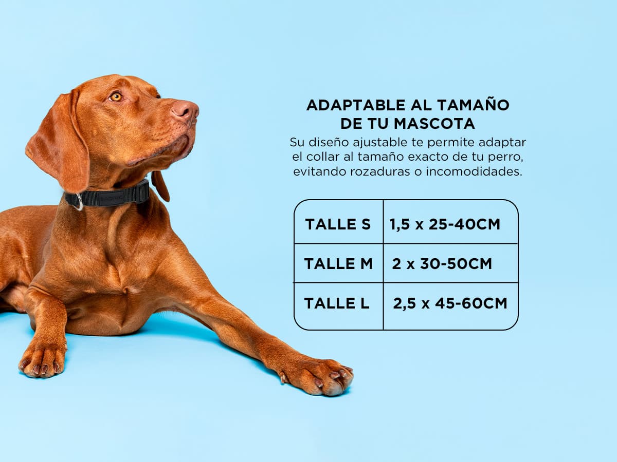 Imagen 5 del producto