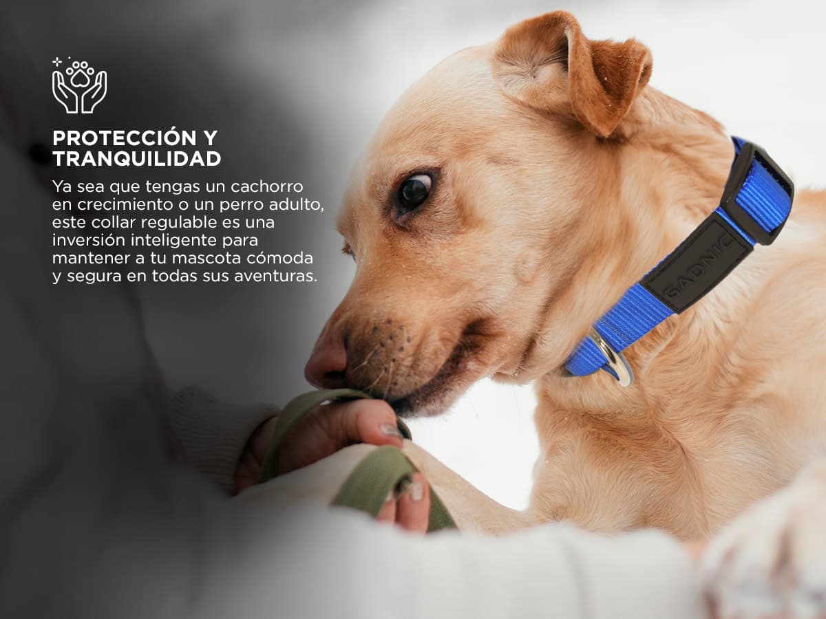 Imagen 6 del producto