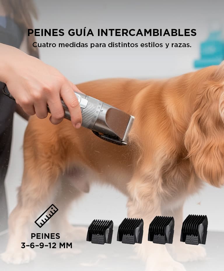 Imagen 3 del producto