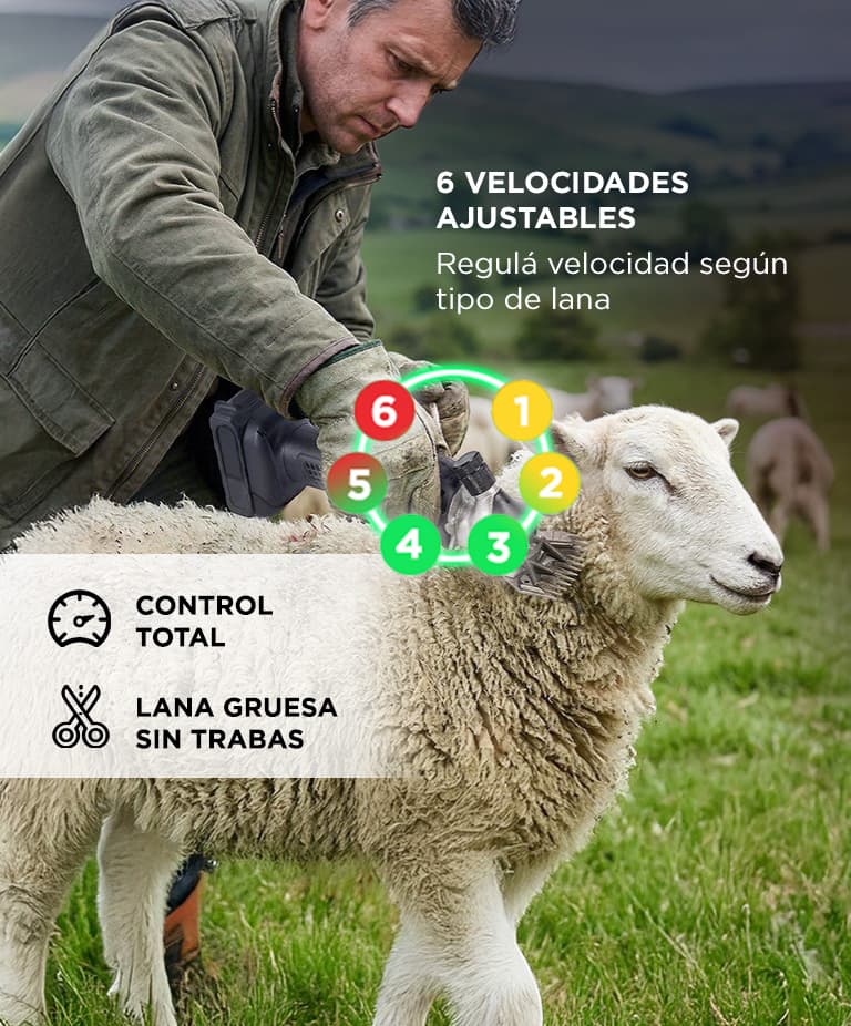 Imagen 3 del producto