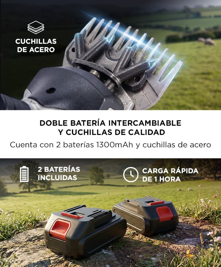 Imagen 4 del producto