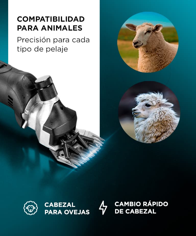 Imagen 5 del producto