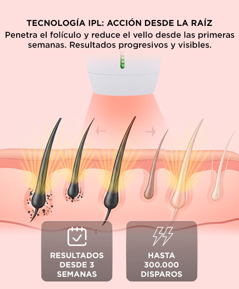 Imagen 6 del producto
