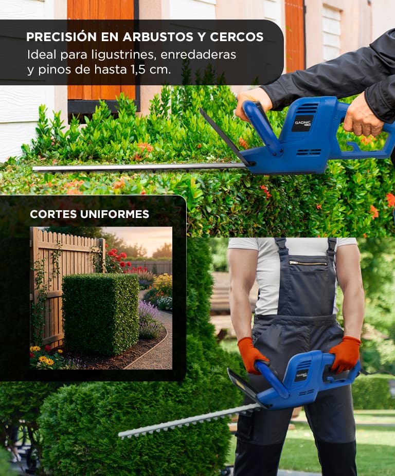 Imagen 5 del producto