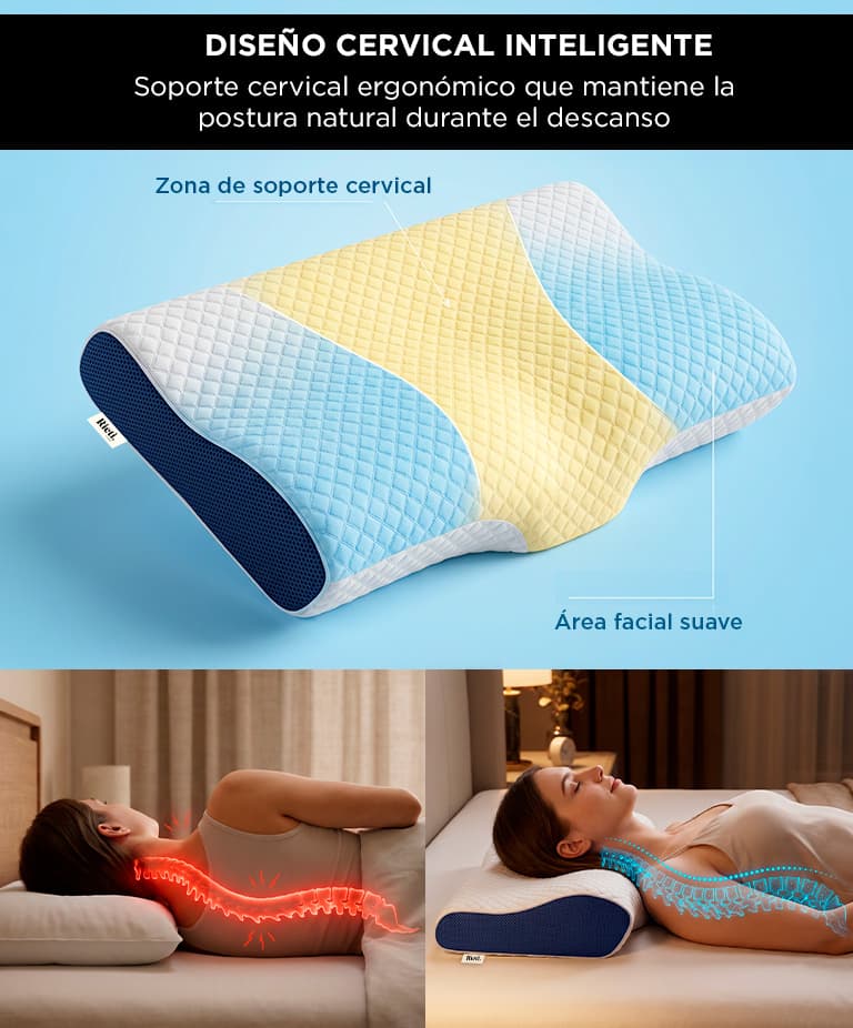 Imagen 3 del producto