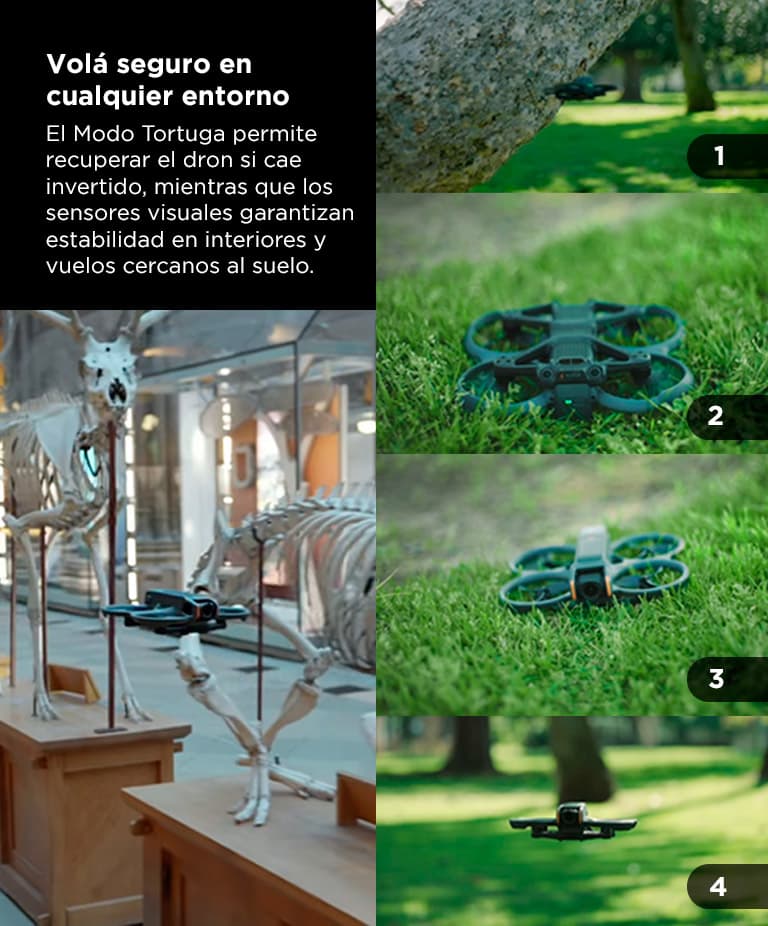 Imagen 6 del producto
