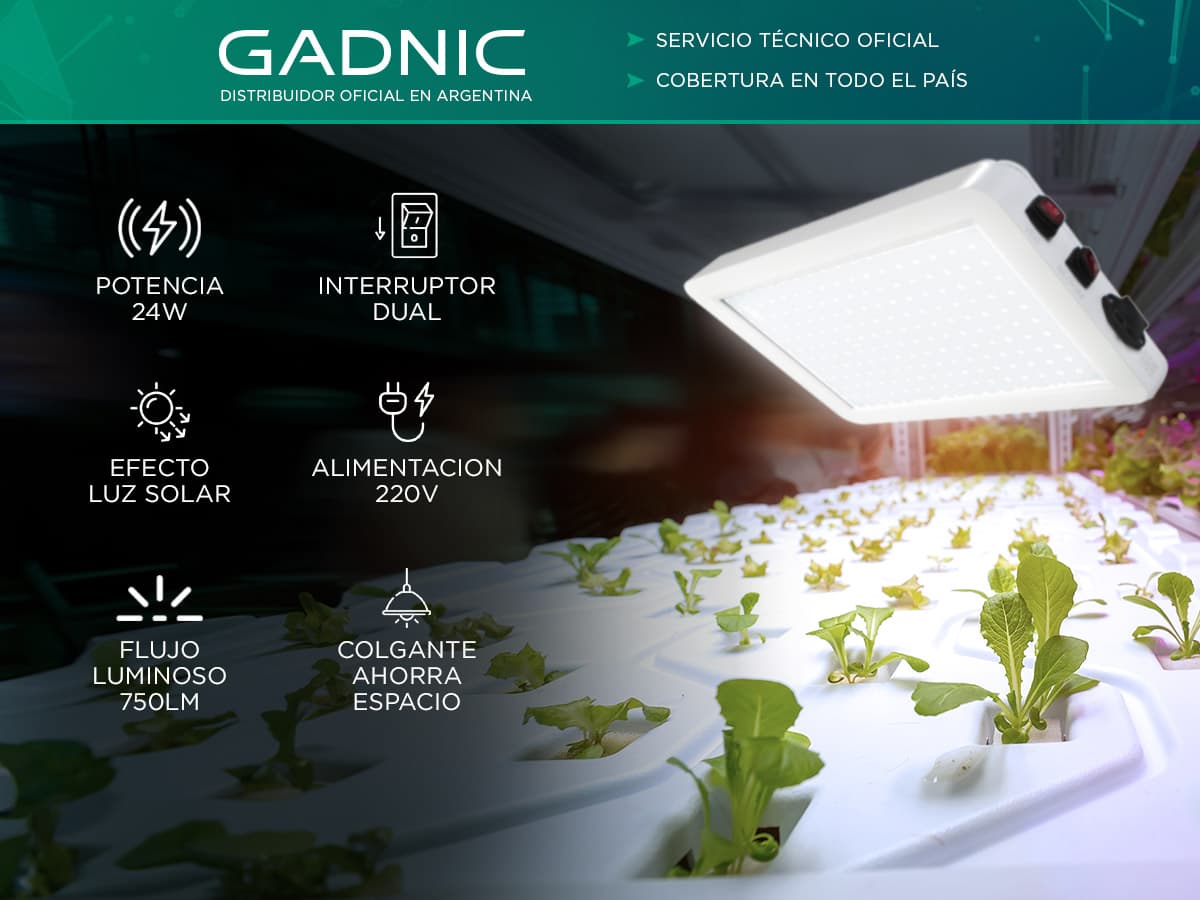 Imagen 2 del producto