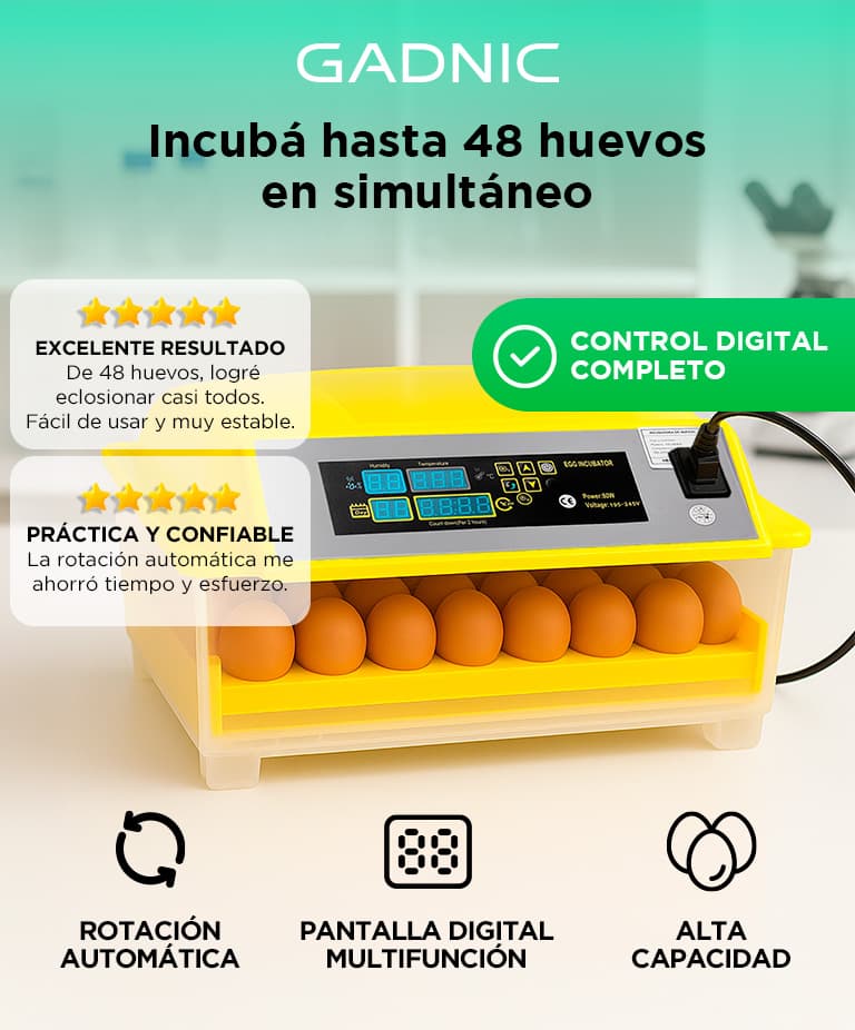 Imagen 2 del producto