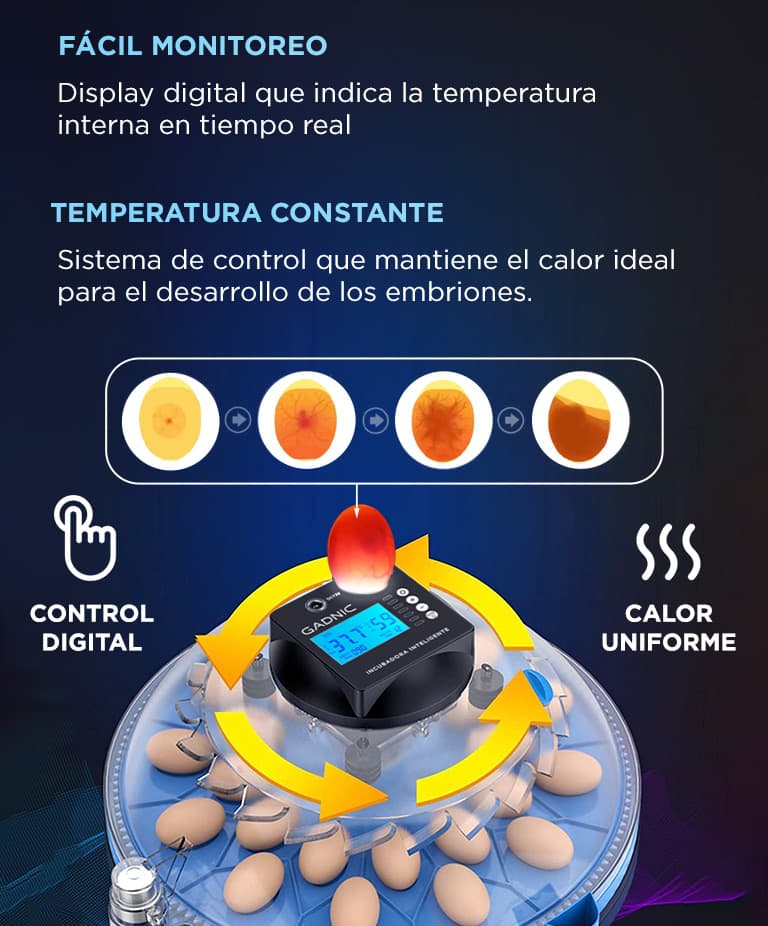 Imagen 5 del producto