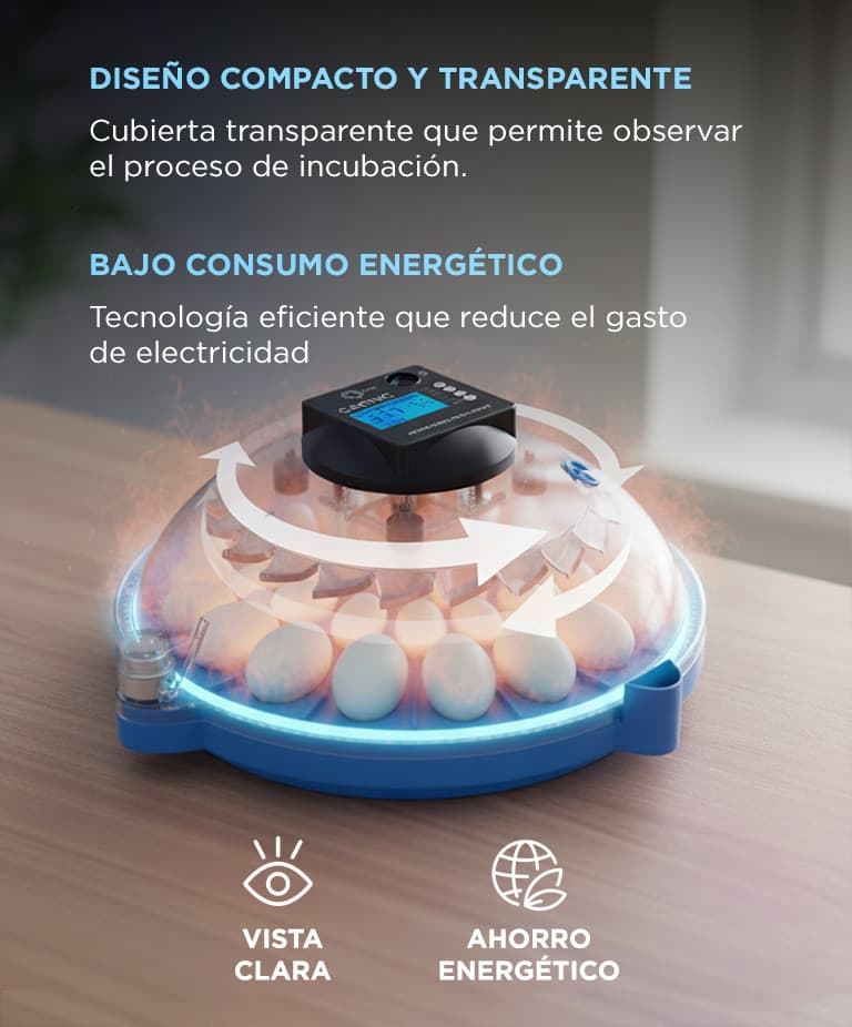 Imagen 6 del producto