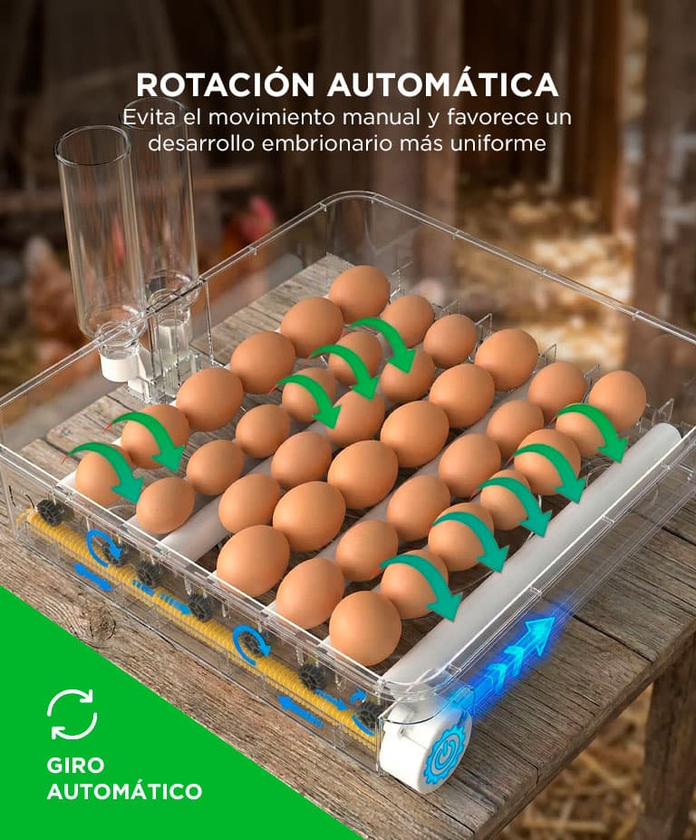Imagen 4 del producto