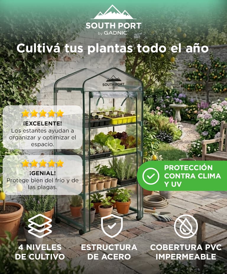 Imagen 2 del producto