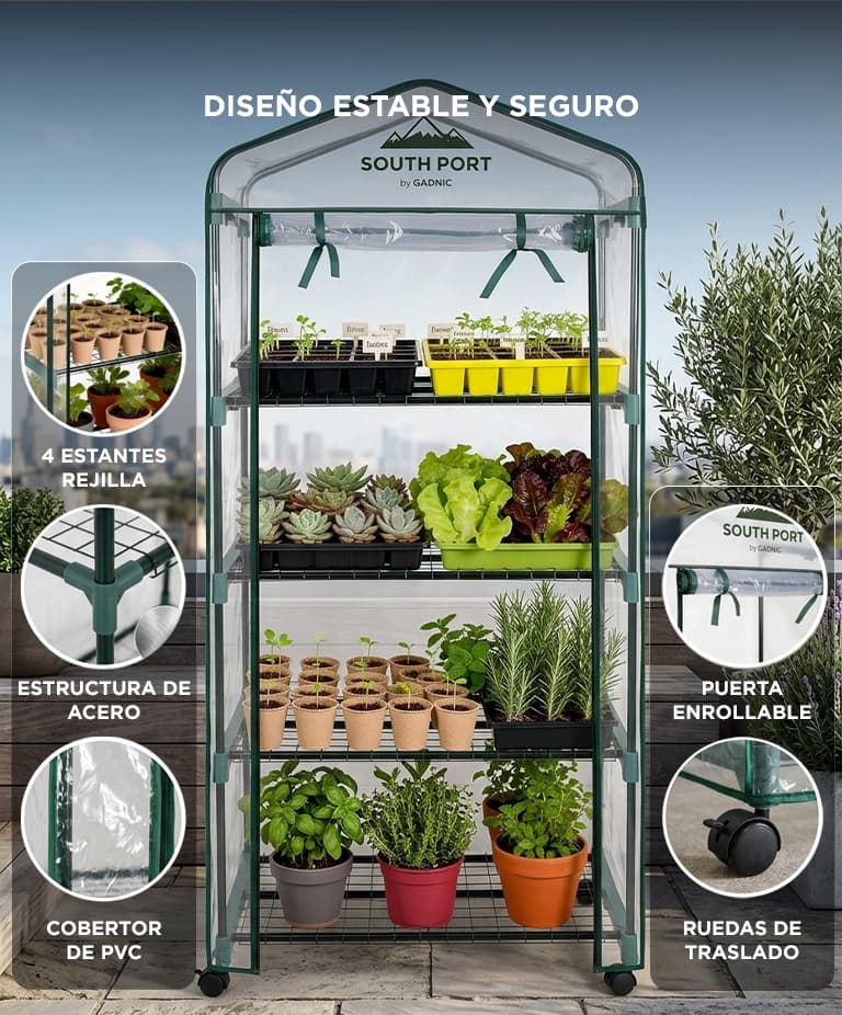 Imagen 3 del producto
