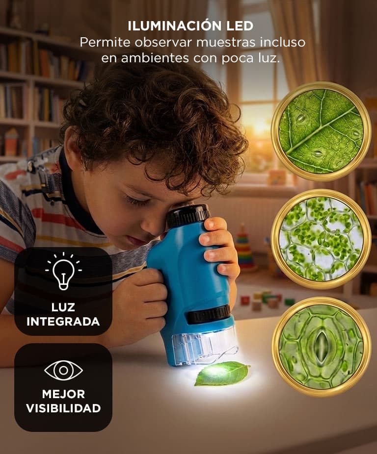 Imagen 4 del producto