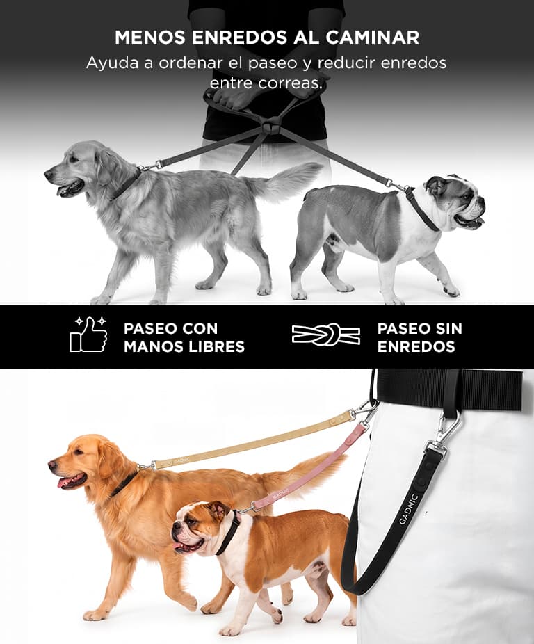 Imagen 3 del producto