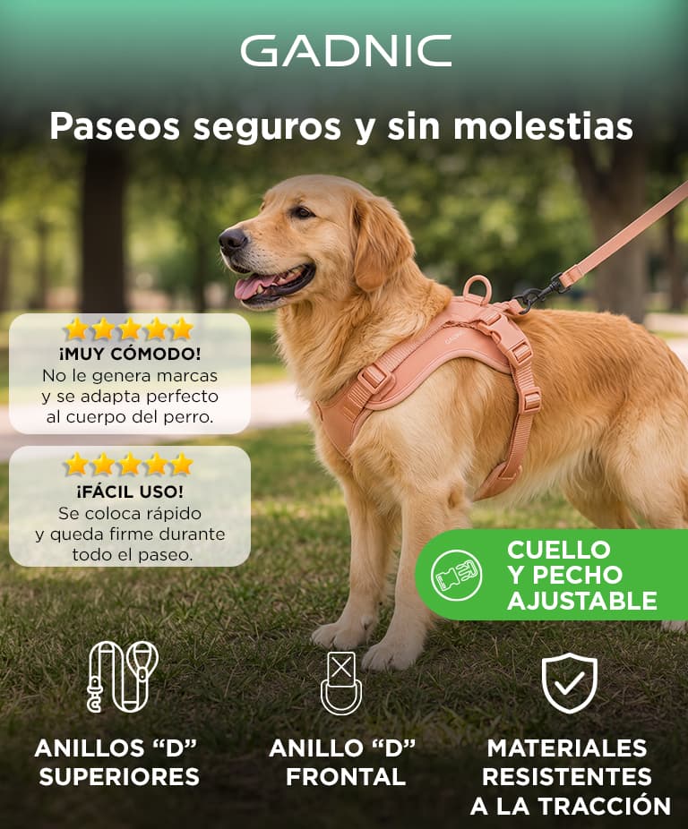 Imagen 2 del producto