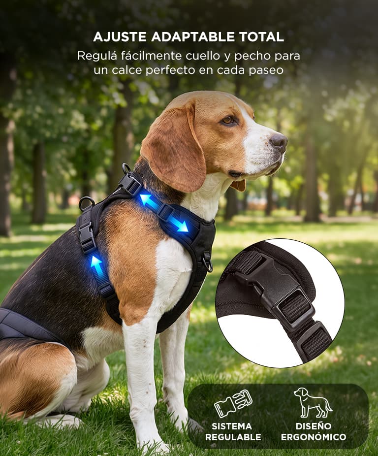 Imagen 3 del producto