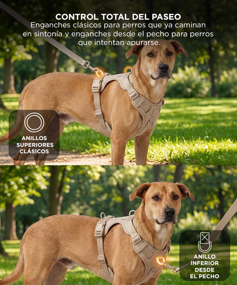 Imagen 4 del producto
